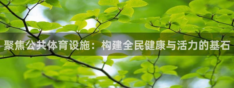 意昂体育4联系电话：聚焦公共体育设施：构建全民健康与
