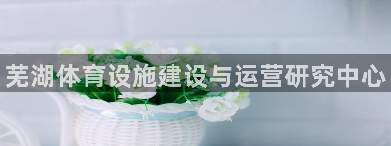 意昂4新能源：芜湖体育设施建设与运营研究中心