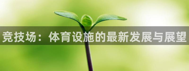 意昂体育4注册：竞技场：体育设施的最新发展与展望