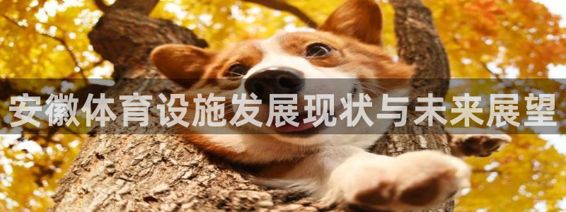 意昂体育4招商电话：安徽体育设施发展现状与未来展望