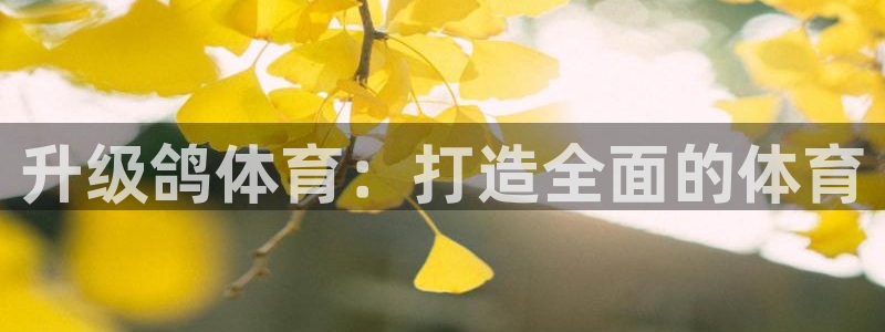 意昂体育4开户：升级鸽体育：打造全面的体育