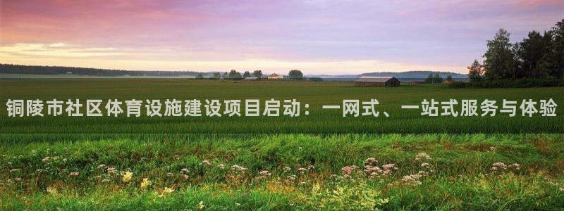 海南意昂体育4：铜陵市社区体育设施建设项目启动：一网
