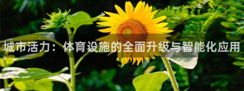 意昂体育4是干嘛的公司：城市活力：体育设施的全面升级