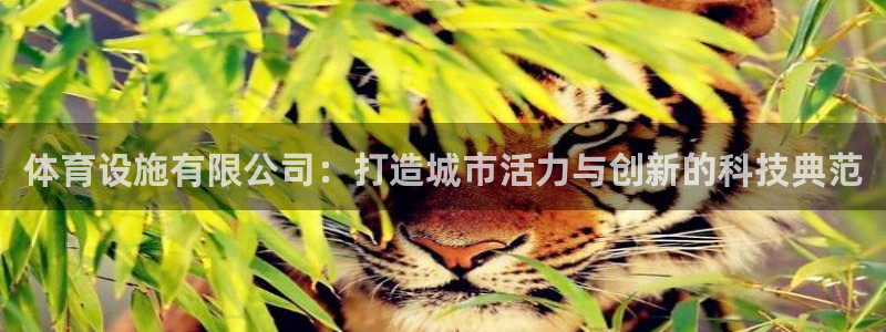 意昂4官网：体育设施有限公司：打造城市活力与创新的科