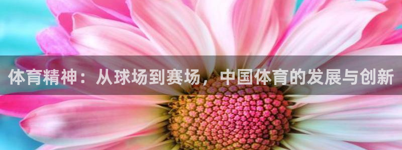 德国意昂4集团：体育精神：从球场到赛场，中国体育的发
