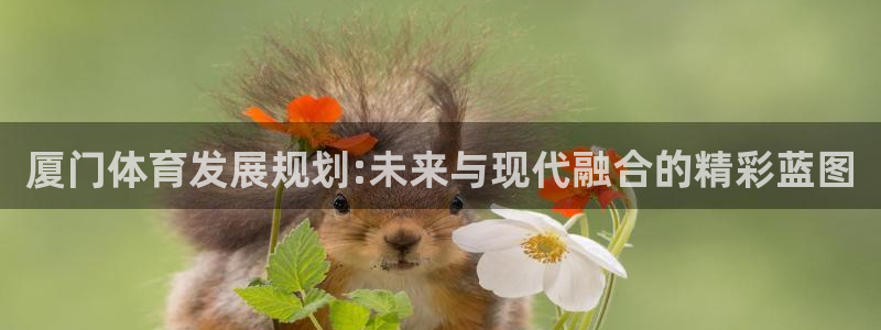 意昂体育4联系电话：厦门体育发展规划:未来与现代融合的精彩蓝