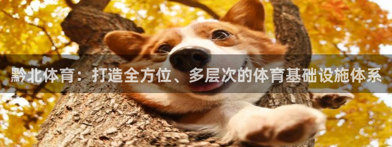 意昂4娱乐首页网站大全：黔北体育：打造全方位、多层次的体育基