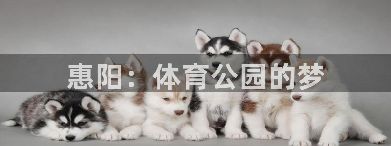 意昂体育4平台是正规平台吗安全吗：惠阳：体育公园的梦
