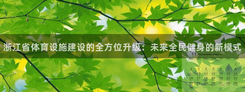 意昂4娱乐下载：浙江省体育设施建设的全方位升级：未来