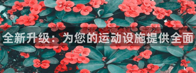 意昂体育4招商电话号码是多少：全新升级：为您的运动设施提供全