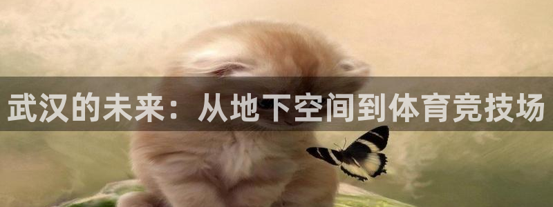 意昂体育4招商电话号码是多少啊：武汉的未来：从地下空