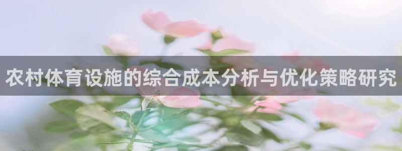 意昂体育4是干嘛的公司：农村体育设施的综合成本分析与优化策略