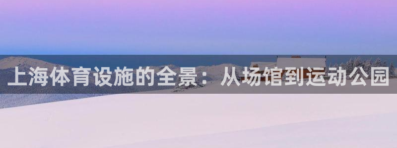 意昂4娱乐下载：上海体育设施的全景：从场馆到运动公园