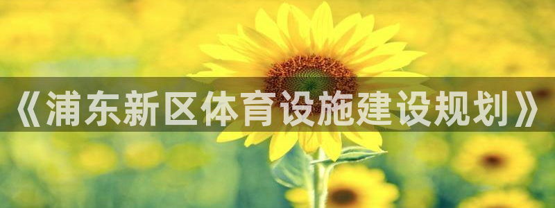 意昂体育4招商电话号码是多少：《浦东新区体育设施建设规划》