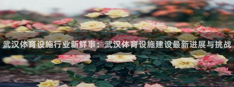 意昂体育4娱乐：武汉体育设施行业新鲜事：武汉体育设施建设最新 