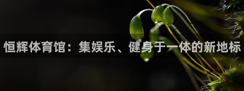 意昂4集团官网网址：恒辉体育馆：集娱乐、健身于一体的新地标